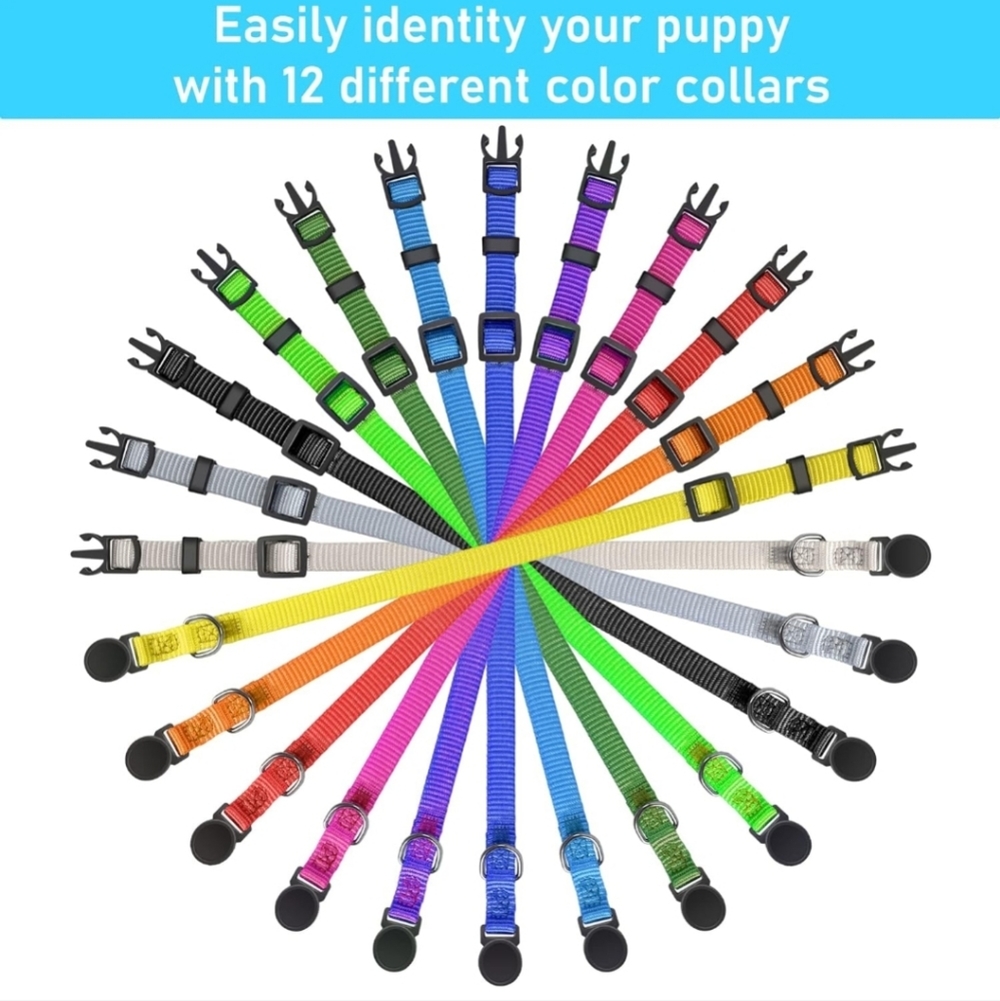 12 Pet Collars - Picture 2 of 7